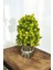 Yapay Çiçek Bonsai Ağacı Sarı Kozalaklı Kütük Saksıda Dekoratif Yapay Ağaç Bonzai 30*15 cm 3