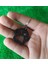 BYR3D Ayak Izi Köpek Anahtarlık T5023245 1