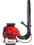 EB995 Benzinli Üfleme Makinası 5 Hp 1