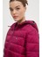 Tommy Jeans Tjw Quılted Tape Hood Jacket Mont 5
