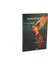 Humming Bird Kitap Kutu 35X24X3CM 1
