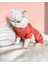 Puanti Kalın Penye Kedi Tulum Pijama 6