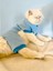 Blue Bunny Kalın Penye Kedi Tulum Pijama 1