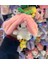 Açılır Kapanır Peluş Anahtarlık Çilek Şeklinde My Melody 1