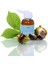 Cilton Atkestanesi Yağı 20ML 1