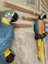 Papagan Ikili Ayrık Macaw 3