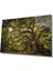 Ağaç Orman Güneş Yeşil Cam Tablo, Ev ve Ofis Duvar Dekoru 1