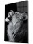 Marsilyan- Aslan Cam Tablo, Lion 1