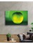 Marsilyan- Yeşil Elma Cam Tablo Green Apple 2