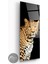 Leopar Panoramik Cam Tablo 2