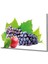 Marsilyan- Elma ve Üzüm Cam Tablo Apple And Grape Art 1