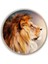 Aslan Yuvarlak Cam Tablo 3