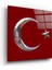 Marsilyan- Bayrak Cam Tablo 1