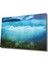 Marsilyan- Sualtı Cam Tablo Marine Life 1