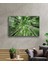Marsilyan- Aşağıdan Yukarı Orman Yeşil Cam Tablo 2