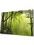 Marsilyan- Ağaç Orman Yeşil Manzara Cam Tablo 1