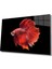 Marsilyan- Turuncu Balık Cam Tablo Orange Fish 1