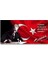Mustafa Kemal Atatürk Panoramik Kanvas Tablo 5