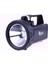 Güvenlik Feneri 30 W Kuvvetinde WT-401 1