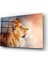 Aslan Cam Tablo 1