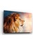 Aslan Cam Tablo 2