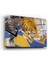 Aslan Cam Tablo 2 50 x 70 cm 2