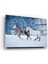 Atlar Cam Tablo 50 x 70 cm 3