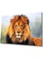 Aslan Hayvan Cam Tablo 4mm Dayanıklı Temperli Cam 1