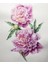 Canvas Pembe Çiçekler Sayılarla Boyama Seti Kasnaklı 40 x 50 cm 5