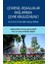 Çevresel Dışsallıklar Bağlamında Çevre Kirliliği Bilinci Kütahya'da Bir Araştırma 1