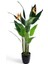 Yapay Ağaç Starliçe 160 cm Horoz Ibiği Çiçekli Bird Of Paradise Artificial Plants 1