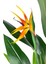 Yapay Ağaç Starliçe 160 cm Horoz Ibiği Çiçekli Bird Of Paradise Artificial Plants 2