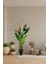 Yapay Ağaç Starliçe 160 cm Horoz Ibiği Çiçekli Bird Of Paradise Artificial Plants 3