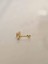 Deniz Atı Model Kıkırdak Piercing Tragus Helix Gold Renk Küpe 2