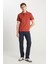 Erkek Regular Fit Polo Kiremit Erkek Kısa Kol T-Shirt 1