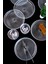 Aden Cam Pasta Tabağı 19 cm Sade 6'lı 2339 5