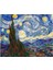 Canvas Van Gogh Yıldızlı Geceler Sayılarla Boyama Seti Rulo 1