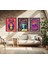 Modern Tarz Mdf Plastik Çerçeveli 3'lu Dekoratif Tablo 176 3