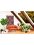 Bohem,yoga, Meditasyon,burçlar ve Mandala Temalı, Duvar Örtüsü 9 5