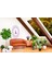 Bohem,yoga, Meditasyon,burçlar ve Mandala Temalı, Duvar Örtüsü 43 5