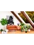 Bohem,yoga, Meditasyon,burçlar ve Mandala Temalı, Duvar Örtüsü 56 5