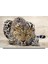 Leopar Cam Tablo | Hediyelik, Dekoratif, Ofis, Mutfak 3