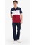 %100 Pamuk Regular Fit Polo Yaka Bloklu Kısa Kollu Tişört D7940AX25SP 2