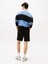 Tjm S Flag Beach Short Ext 4