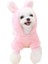 Havuçlu Polar Köpek Kıyafeti Pembe L 3