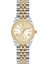 DK.1.AG1360.06 Taşlı Tasarım 5 Atm Suya Dayanıklı Çelik Kordon Metal-Altın Renk Kadın Kol Saati 1