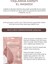 Yıpranmış Ciltler İçin Kolajen ve Peptid İçeren Yenileyici Anti Aging El Maskesi 2