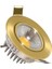 Helios 5W Gold Kasa Yuvarlak Cob LED HS-1202 1