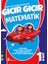 1. Sınıf Gıcır Gıcır Matematik 2