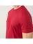 Erkek Slim Fit Bisiklet Yaka Kısa Kol Tişört 3